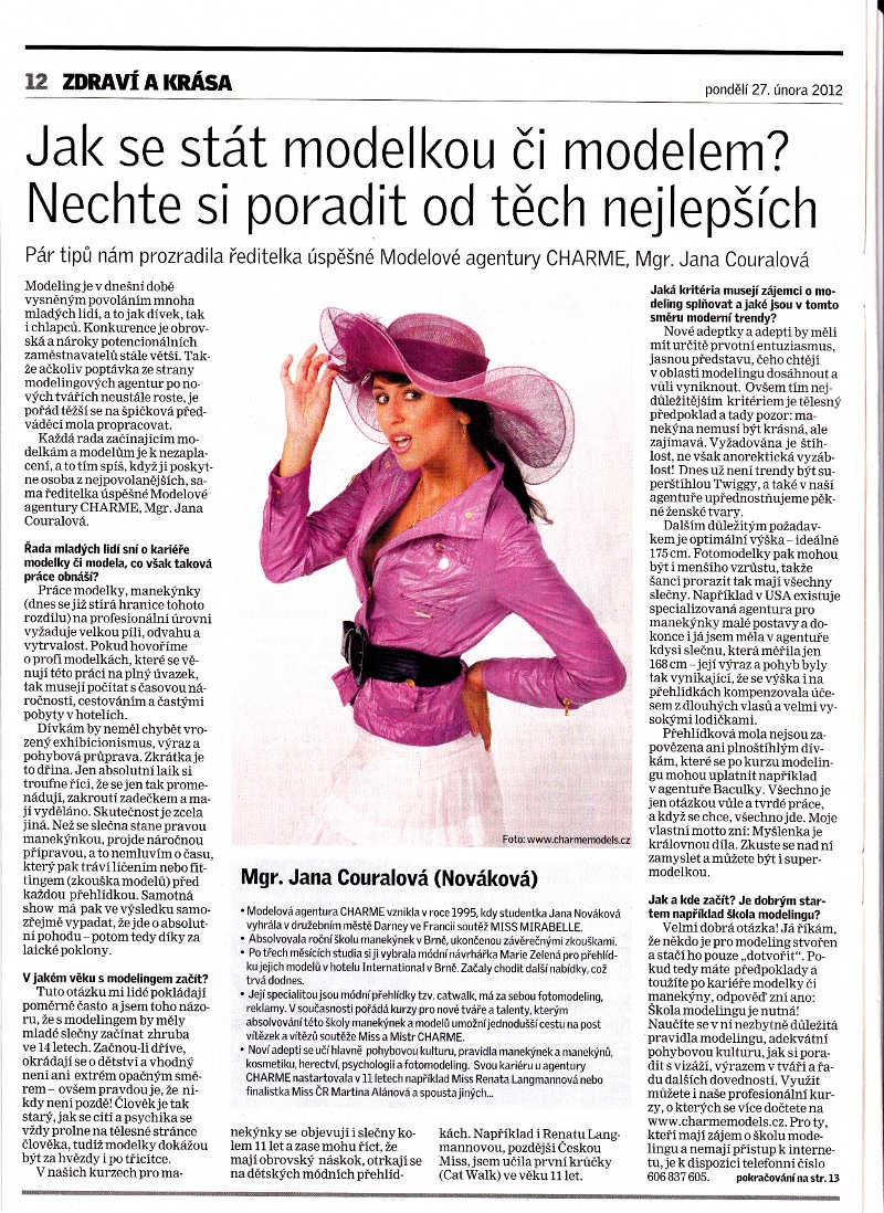 denik201211