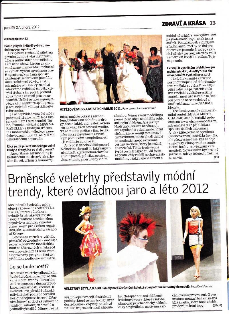denik201212